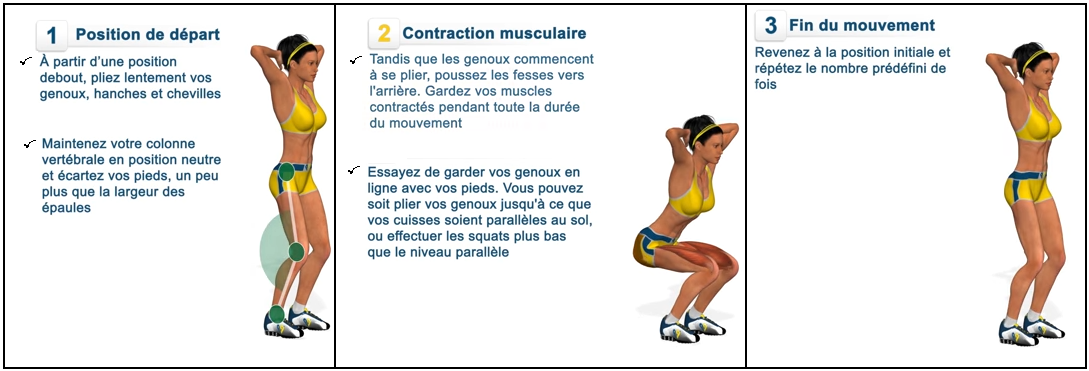exercice squat